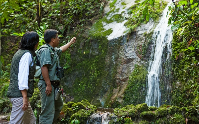6_EXCURSIONES_Nature-Walk